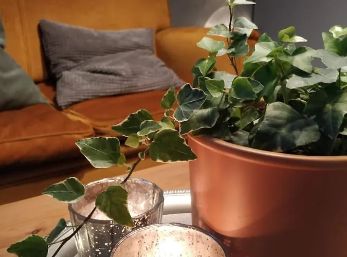 게스트하우스 돈 클라우디오